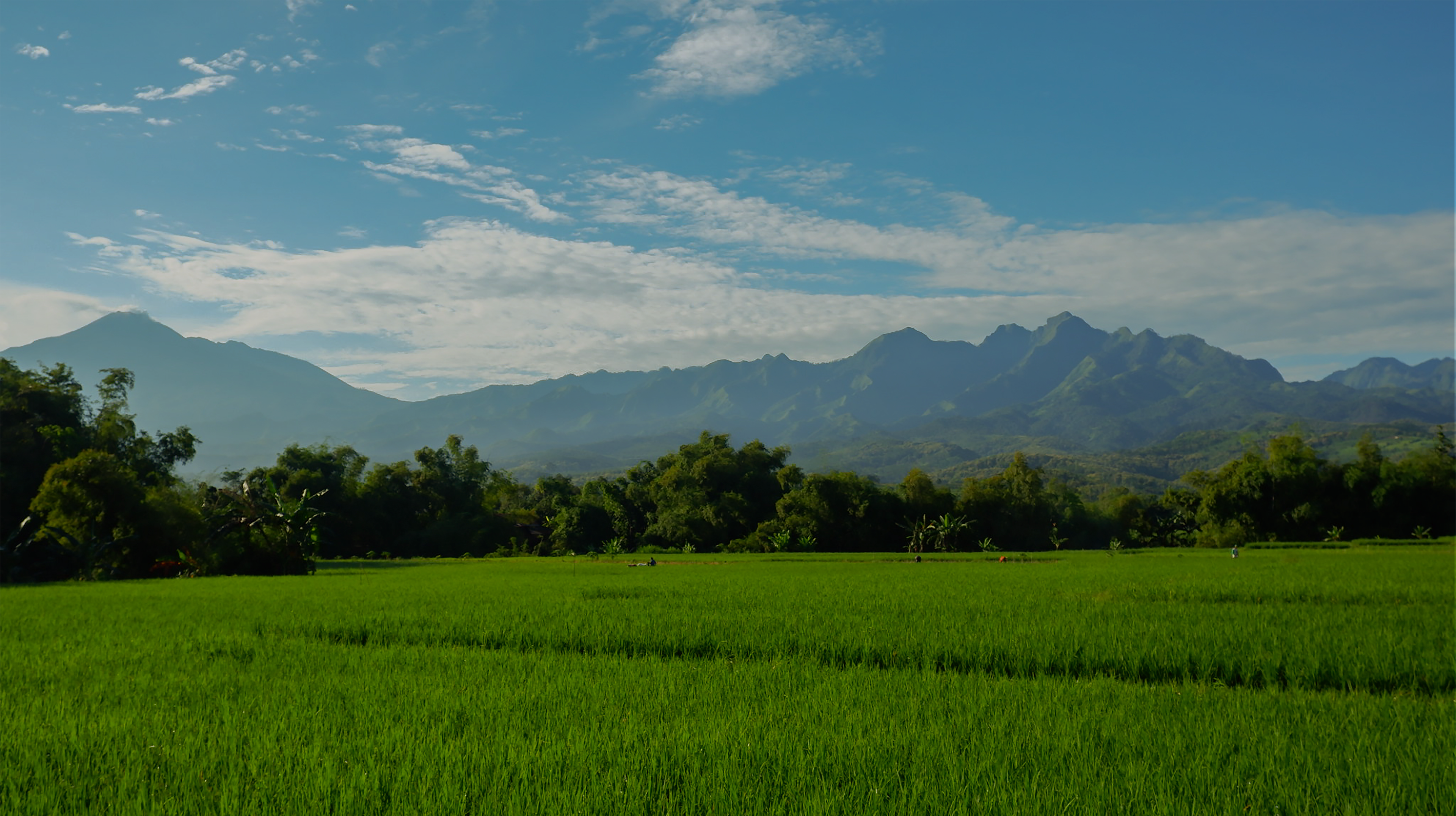 メインビジュアル１